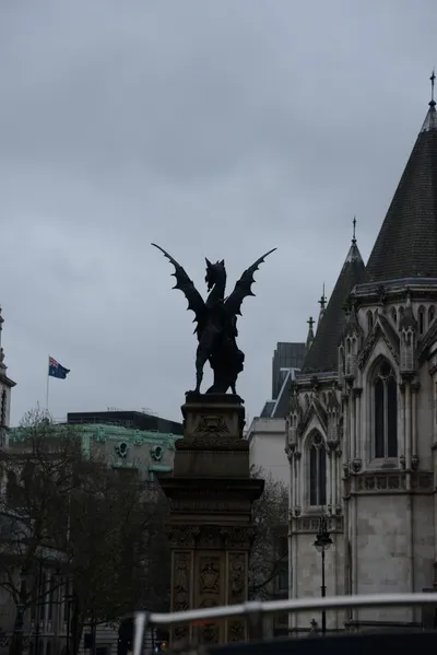 DSC_5639 (Large).JPG